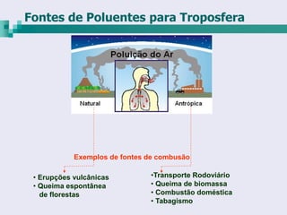 Fontes de Poluentes para Troposfera




            Exemplos de fontes de combusão

 • Erupções vulcânicas         •Transporte Rodoviário
 • Queima espontânea           • Queima de biomassa
   de florestas                • Combustão doméstica
                               • Tabagismo
 