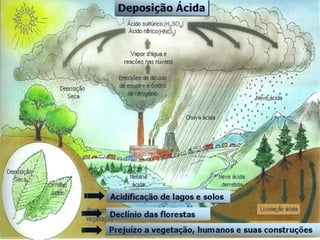 Necessidade de identificação e quantificação dos
        compostos reduzidos de enxofre no ambiente




Deposição ácida                               Ciclo biogeoquímico
                                               global do enxofre




Problemas de odor                        Balanço da radiação da Terra




                    Qualidade do petróleo e
                     substância químicas
 