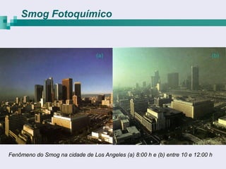 Smog Fotoquímico



                                 (a)                                        (b)




Fenômeno do Smog na cidade de Los Angeles (a) 8:00 h e (b) entre 10 e 12:00 h
 