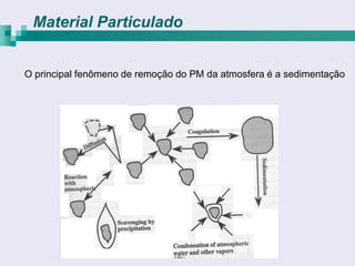 Material Particulado


O principal fenômeno de remoção do PM da atmosfera é a sedimentação
 