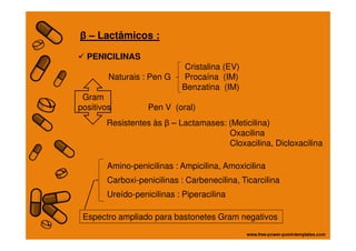 Resistentes às β – Lactamases: (Meticilina)
β – Lactâmicos :
PENICILINAS
Cristalina (EV)
Naturais : Pen G Procaína (IM)
Benzatina (IM)
Gram
positivos Pen V (oral)
Resistentes às β – Lactamases: (Meticilina)
Oxacilina
Cloxacilina, Dicloxacilina
Amino-penicilinas : Ampicilina, Amoxicilina
Carboxi-penicilinas : Carbenecilina, Ticarcilina
Ureído-penicilinas : Piperacilina
Espectro ampliado para bastonetes Gram negativos
 