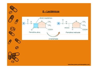 β – Lactâmicos
 