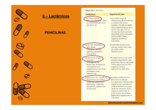 PENICILINAS
β – Lactâmicos
 