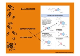 CEFALOSPORINAS
β – Lactâmicos
CEFALOSPORINAS
CEFAMICINAS
 