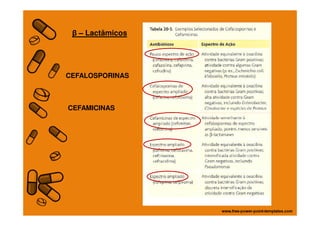 CEFALOSPORINAS
CEFAMICINAS
β – Lactâmicos
 