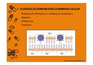 2- ALTERAÇÃO DA PERMEABILIDADE DA MEMBRANA CELULAR
Polimixina B, Polimixina E ( Colistina ou Colimicina )
Nistatina
Anfotericina
Tirotricina
 