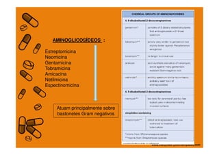 AMINOGLICOSÍDEOS :
Estreptomicina
Neomicina
Gentamicina
Tobramicina
Amicacina
NetilmicinaNetilmicina
Espectinomicina
Atuam principalmente sobre
bastonetes Gram negativos
 