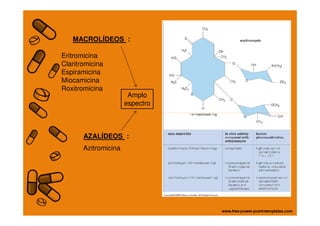 MACROLÍDEOS :
Eritromicina
Claritromicina
Espiramicina
Miocamicina
Roxitromicina
Amplo
espectro
AZALÍDEOS :
Azitromicina
 