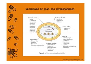 MECANISMOS DE AÇÃO DOS ANTIMICROBIANOS
 