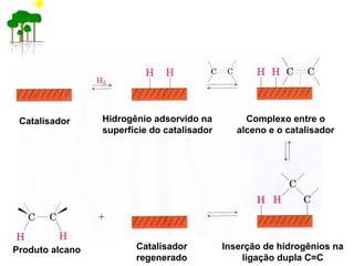 Catalisador Hidrogênio adsorvido na
superfície do catalisador
Complexo entre o
alceno e o catalisador
Produto alcano Catalisador
regenerado
Inserção de hidrogênios na
ligação dupla C=C
 