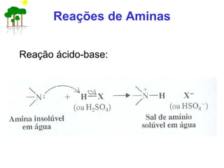 Reações de Aminas
Reação ácido-base:
 
