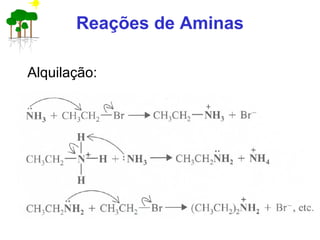 Reações de Aminas
Alquilação:
 