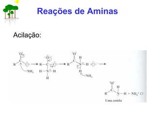 Reações de Aminas
Acilação:
 