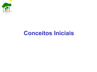 Conceitos Iniciais
 
