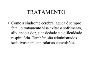 TRATAMENTO
• Como a síndrome cerebral aguda é sempre
fatal, o tratamento visa evitar o sofrimento,
aliviando a dor, a ansiedade e a dificuldade
respiratória. Também são administrados
sedativos para controlar as convulsões.
 