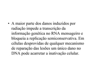 • A maior parte dos danos induzidos por
radiação impede a transcrição da
informação genética no RNA mensageiro e
bloqueia a replicação semiconservativa. Em
células desprovidas de qualquer mecanismo
de reparação das lesões um único dano no
DNA pode acarretar a inativação celular.
 