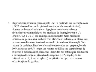 • Os principais produtos gerados pelo UVC a partir de sua interação com
o DNA são os dímeros de pirimidinas (especialmente de timina),
hidratos de bases pirimidínicas, ligações cruzadas entre bases
pirimidínicas e aminoácidos. Os produtos da interação com o UV
longo (UVA e UVB) são análogos aos causados pelas radiações
ionizantes e germicidas, embora com eficiências diferentes e através de
mecanismos distintos. Assim dímeros de pirimidinas, timina-glicóis e
roturas de cadeia polinucleotídicas são observadas em preparações de
DNA expostas ao UV longo. As roturas no DNA são dependentes de
oxigênio e mediadas por oxidações induzidas por fótons que conduzem
a formação de espécies ativadas de oxigênio (OH
 