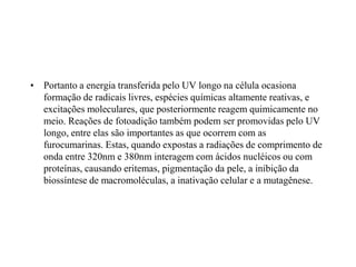 • Portanto a energia transferida pelo UV longo na célula ocasiona
formação de radicais livres, espécies químicas altamente reativas, e
excitações moleculares, que posteriormente reagem quimicamente no
meio. Reações de fotoadição também podem ser promovidas pelo UV
longo, entre elas são importantes as que ocorrem com as
furocumarinas. Estas, quando expostas a radiações de comprimento de
onda entre 320nm e 380nm interagem com ácidos nucléicos ou com
proteínas, causando eritemas, pigmentação da pele, a inibição da
biossíntese de macromoléculas, a inativação celular e a mutagênese.
 