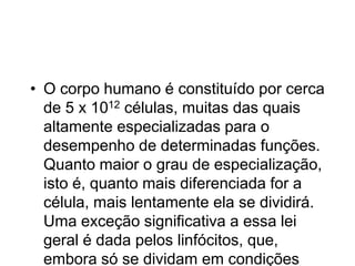 • O corpo humano é constituído por cerca
de 5 x 1012 células, muitas das quais
altamente especializadas para o
desempenho de determinadas funções.
Quanto maior o grau de especialização,
isto é, quanto mais diferenciada for a
célula, mais lentamente ela se dividirá.
Uma exceção significativa a essa lei
geral é dada pelos linfócitos, que,
embora só se dividam em condições
 