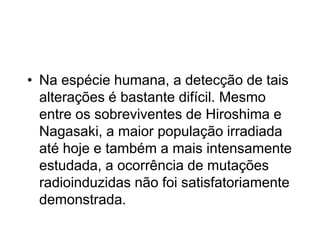 • Na espécie humana, a detecção de tais
alterações é bastante difícil. Mesmo
entre os sobreviventes de Hiroshima e
Nagasaki, a maior população irradiada
até hoje e também a mais intensamente
estudada, a ocorrência de mutações
radioinduzidas não foi satisfatoriamente
demonstrada.
 