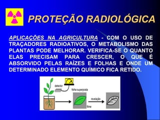PROTEÇÃO RADIOLÓGICA
APLICAÇÕES NA AGRICULTURA - COM O USO DE
TRAÇADORES RADIOATIVOS, O METABOLISMO DAS
PLANTAS PODE MELHORAR. VERIFICA-SE O QUANTO
ELAS PRECISAM PARA CRESCER, O QUE É
ABSORVIDO PELAS RAÍZES E FOLHAS E ONDE UM
DETERMINADO ELEMENTO QUÍMICO FICA RETIDO.
 