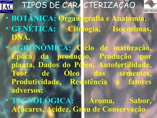 TIPOS DE CARACTERIZAÇÃO
• BOTÂNICA: Organografia e Anatomia.
• GENÉTICA:
Citologia,
Isoenzimas,
DNA.
• AGRONÔMICA: Ciclo de maturação,
Época da produção, Produção por
planta, Dados do Pólen, Autofertilidade,
Teor
de
Óleo
das
sementes,
Produtividade, Resistência a fatores
adversos;
• TECNOLÓGICA:
Aroma,
Sabor,
Açúcares, Acidez, Grau de Conservação

 