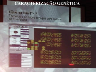 CARACTERIZAÇÃO GENÉTICA

 