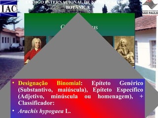 CÓDIGO INTERNACIONAL DE NOMENCLATURA
BOTÂNICA

• Designação Binomial: Epíteto Genérico
(Substantivo, maiúscula), Epíteto Específico
(Adjetivo, minúscula ou homenagem), +
Classificador:
• Arachis hypogaea L.

 