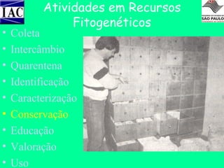 •
•
•
•
•
•
•
•
•

Atividades em Recursos
Fitogenéticos

Coleta
Intercâmbio
Quarentena
Identificação
Caracterização
Conservação
Educação
Valoração
Uso

 