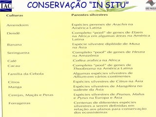 CONSERVAÇÃO “IN SITU”
Significa: Conservação das plantas dentro de
seus habitats naturais;
A Conservação “ON FARM” é uma boa
opção para a conservação de plantas em
seu habitat natural.

 