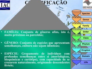 CLASSIFICAÇÃO

• FAMÍLIA: Conjunto de gêneros afins, isto é,
muito próximos ou parecidos;
• GÊNERO: Conjunto de espécies que apresentam
semelhanças, embora não sejam idênticas;
• ESPÉCIE: Grupamento de indivíduos com
profundas semelhanças entre si (morfológicas,
bioquímicas e cariótipo), com capacidade de se
cruzarem naturalmente, originando descendentes
férteis;

 