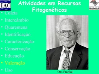 •
•
•
•
•
•
•
•
•

Atividades em Recursos
Fitogenéticos

Coleta
Intercâmbio
Quarentena
Identificação
Caracterização
Conservação
Educação
Valoração
Uso

Oto Frankel

 