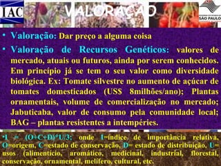 VALORAÇÃO
• Valoração: Dar preço a alguma coisa
• Valoração de Recursos Genéticos: valores de
mercado, atuais ou futuros, ainda por serem conhecidos.
Em princípio já se tem o seu valor como diversidade
biológica. Ex: Tomate silvestre no aumento de açúcar de
tomates domesticados (US$ 8milhões/ano); Plantas
ornamentais, volume de comercialização no mercado;
Jabuticaba, valor de consumo pela comunidade local;
BAG – plantas resistentes a intempéries.
•I = (O+C+D)*U/3; onde I=índice de importância relativa,
O=origem, C=estado de conservação, D= estado de distribuição, U=
usos (alimentício, aromático, medicinal, industrial, florestal,
conservação, ornamental, melífero, cultural, etc.

 