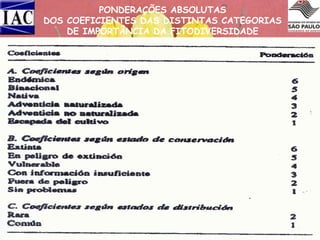 PONDERAÇÕES ABSOLUTAS
DOS COEFICIENTES DAS DISTINTAS CATEGORIAS
DE IMPORTÂNCIA DA FITODIVERSIDADE

 