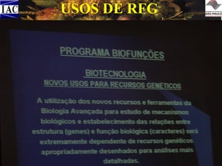 USOS DE RFG
• REFLORESTAMENTO
• AGRICULTURA SUSTENTÁVEL: Foco no
Patrimônio genético= não apenas como
insumos, mas também como algo que deve ser
mantido e que pode ser melhorado.
• CULTURAS ALTERNATIVAS
• MELHORAMENTO GENÉTICO
• INDUSTRIAL (ALIMENTÍCIO,
MEDICINAL, AROMÁTICO,
CONDIMENTAR, ETC.)
• RELIGIOSO
• PAISAGÍSTICO

 