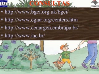 CONSULTAS
• http://www.bgci.org.uk/bgci/
• http://www.cgiar.org/centers.htm
• http://www.cenargen.embrapa.br/
• http://www.iac.br/

 