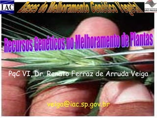 PqC VI, Dr. Renato Ferraz de Arruda Veiga

veiga@iac.sp.gov.br

 