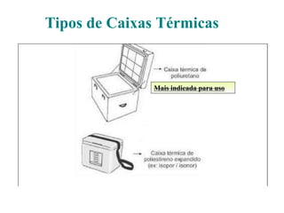 Tipos de Caixas Térmicas
Mais indicada para uso
 