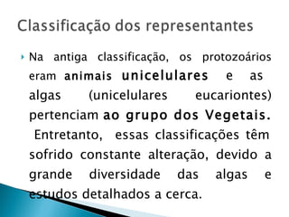 Na antiga classificação, os protozoários eram  animais  unicelulares   e  as  algas (unicelulares eucariontes) pertenciam  ao grupo dos Vegetais.  Entretanto,  essas classificações têm sofrido constante alteração, devido a grande diversidade das algas e estudos detalhados a cerca. 