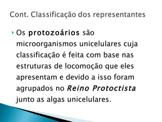 Os  p rotozoários  são microorganismos unicelulares cuja classificação é feita com base nas estruturas de locomoção que eles apresentam e devido a isso foram agrupados no  Reino Protoctista  junto as algas unicelulares. 