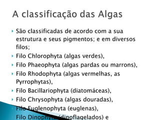 São classificadas de acordo com a sua estrutura e seus pigmentos; e em diversos filos; Filo Chlorophyta (algas verdes),  Filo Phaeophyta (algas pardas ou marrons),  Filo Rhodophyta (algas vermelhas, as Pyrrophytas),  Filo Bacillariophyta (diatomáceas),  Filo Chrysophyta (algas douradas),  Filo Euglenophyta (euglenas),  Filo Dinophyta (dinoflagelados) e  Filo Charophyta (carofíceas). 