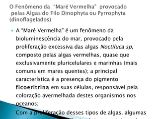 A “Maré Vermelha” é um fenômeno da bioluminescência do mar, provocado pela proliferação excessiva das algas  Noctiluca sp , composto pelas algas vermelhas, quase que exclusivamente pluricelulares e marinhas (mais comuns em mares quentes); a principal característica é a presença do pigmento  ficoeritrina  em suas células, responsável pela coloração avermelhada destes organismos nos oceanos; Com a proliferação desses tipos de algas, algumas produzem uma substância tóxica que deixa a água contaminada, matando todos os organismos marinhos ao seu redor, inclusive os peixes.  