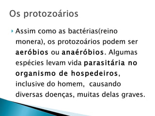 Assim como as bactérias(reino monera), os protozoários podem ser  aeróbios   ou  anaéróbios . Algumas espécies levam vida  parasitária no organismo de hospedeiros , inclusive do homem,  causando diversas doenças, muitas delas graves.  
