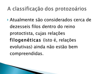 Atualmente são considerados cerca de dezesseis filos dentro do reino protoctista, cujas relações  filogenéticas  (isto é, relações evolutivas) ainda não estão bem compreendidas.  