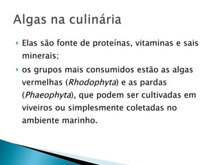 Elas são fonte de proteínas, vitaminas e sais minerais; os grupos mais consumidos estão as algas vermelhas ( Rhodophyta ) e as pardas ( Phaeophyta ), que podem ser cultivadas em viveiros ou simplesmente coletadas no ambiente marinho. 