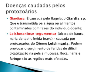 Giardíase :  É causada pelo flagelado  Giardia sp . Que é transmitida pela água ou alimentos contaminados com fezes do individuo doente; Leishmaniose tegumentar  (úlcera de bauru, nariz de tapir, ferida brava) – causada por protozoários do Gênero  Leishmania.  Podem provocar o surgimento de feridas de difícil cicatrização na pele e mucosas. Boca, nariz e faringe são as regiões mais afetadas .  