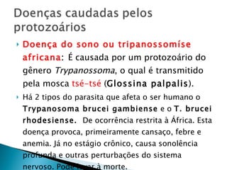 Doença do sono ou tripanossomíse africana :  É causada por um protozoário do gênero  Trypanossoma , o qual é transmitido pela mosca  tsé-tsé  ( Glossina palpalis ).  Há 2 tipos do parasita que afeta o ser humano o  Trypanosoma brucei gambiense  e o  T. brucei rhodesiense.  De ocorrência restrita à África. Esta doença provoca, primeiramente cansaço, febre e anemia. Já no estágio crônico, causa sonolência profunda e outras perturbações do sistema nervoso. Pode levar à morte. 