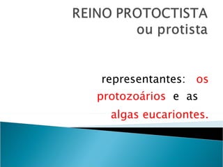 representantes:  os protozoários  e  as  algas eucariontes. 