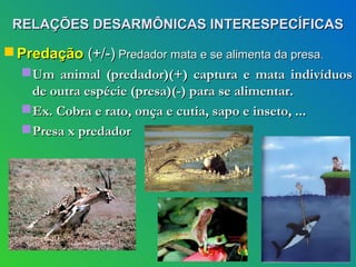 RELAÇÕES DESARMÔNICAS INTERESPECÍFICAS

 Predação (+/-) Predador mata e se alimenta da presa.
    Um animal (predador)(+) captura e mata indivíduos
     de outra espécie (presa)(-) para se alimentar.
    Ex. Cobra e rato, onça e cutia, sapo e inseto, ...
    Presa x predador
 