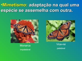 •Mimetismo: adaptação na qual uma
espécie se assemelha com outra.



                          Coral
                      verdadeira




       Monarca         Vice-rei
                        palatável
        impalatável
 